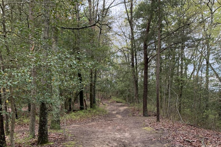 The Severn Run NEA Trail in Spring 2021.