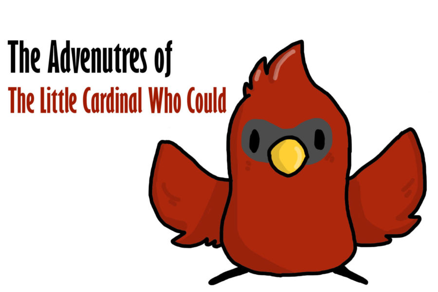 The Little Cardinal Who Could