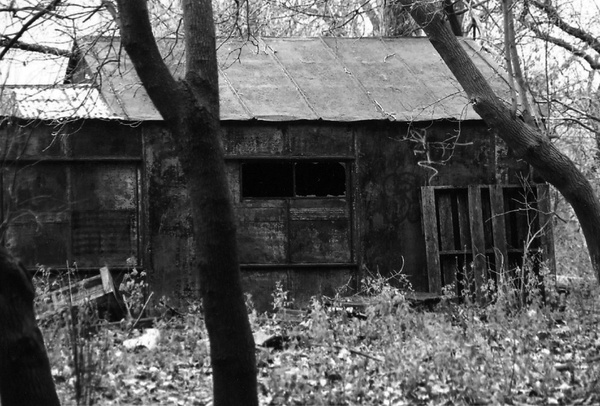 A rusty shed in the woods. 