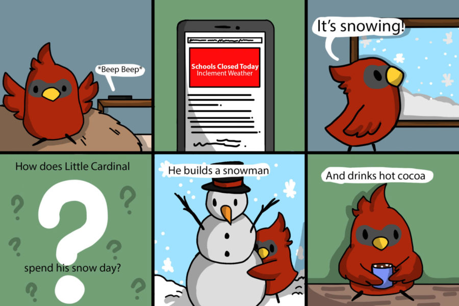 The Adventures of Little Cardinal Who Could: Snow Day!