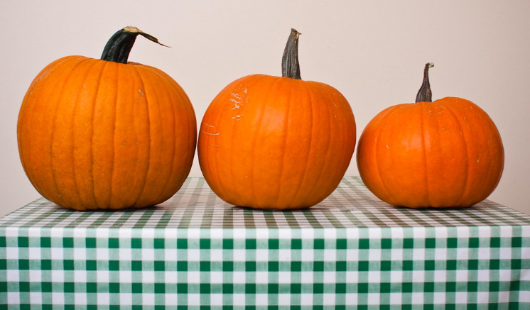 three pumpkins of various sizes on a table with green plaid tablecloth