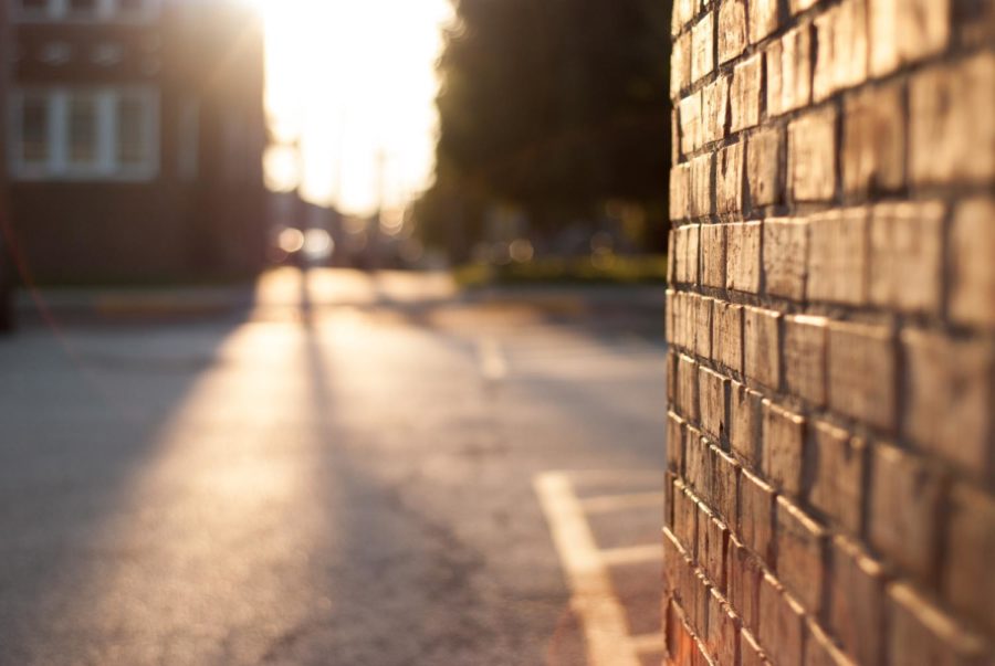A photo of a street and a brick wall with sunlight filtering over a sidewalk and buildings and trees in a background across a parking lot.