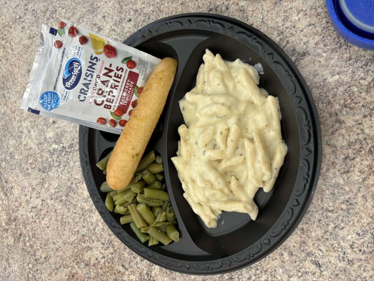 The AACPS Penne Alfredo Meal with a Breadstick and Craisins.